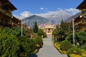 Karmapa's monastery complex