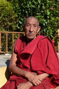 older monk at Karmapa