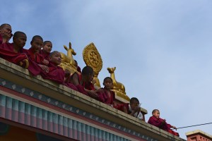Small monks watching dancing