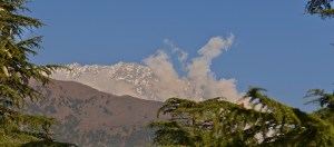 view from roof of hotel