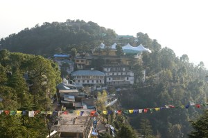 view from roof of hotel of Namgal Monastery