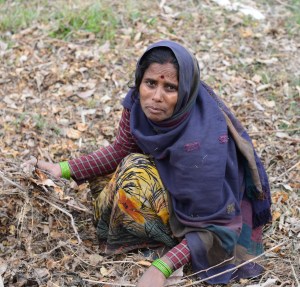 woman collecting wood
