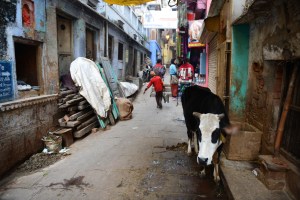typical street in old Varanasi