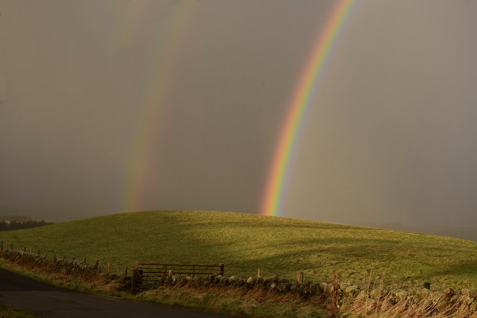 2x rainbow