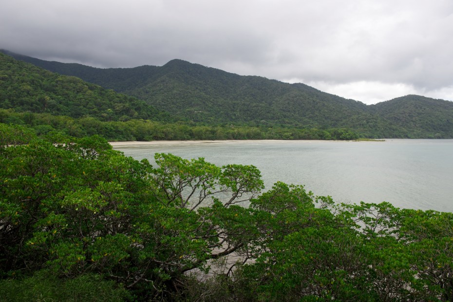 rain forest meets the sea