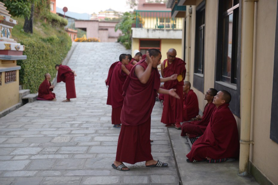 answer-the-question-if-you-can