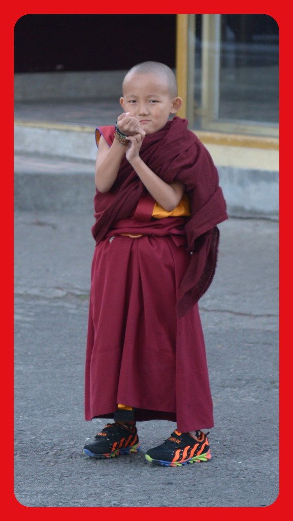 mini-monk-1