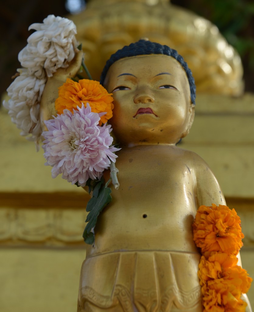 baby-buddha