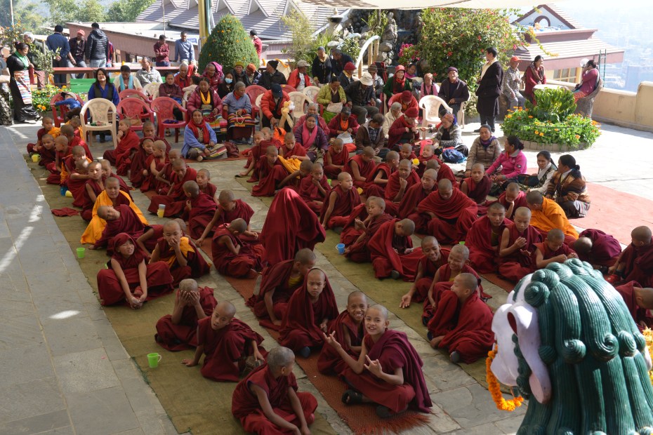 lots-of-mini-monks