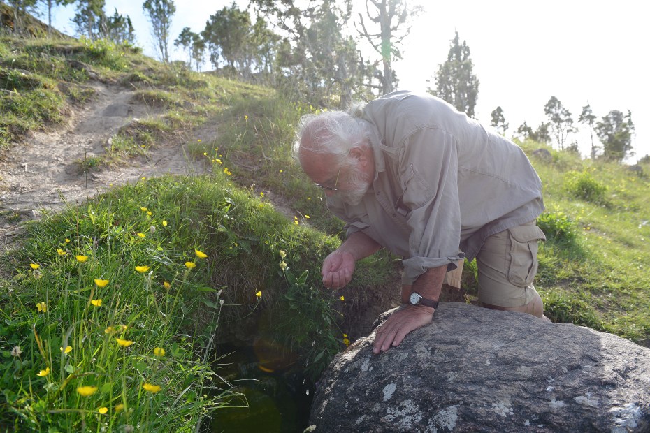 drinking from the spring of life