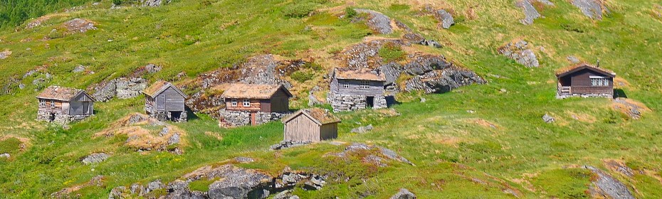 closeup of houses with sod roof
