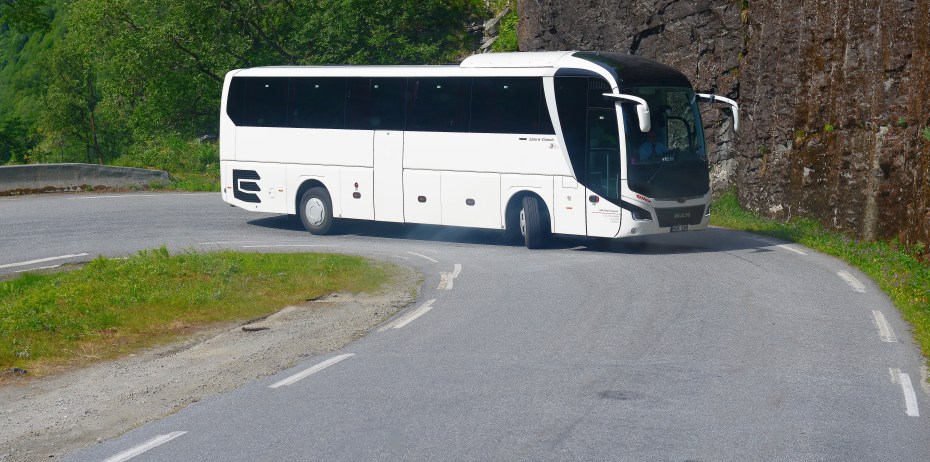 one of the many buses