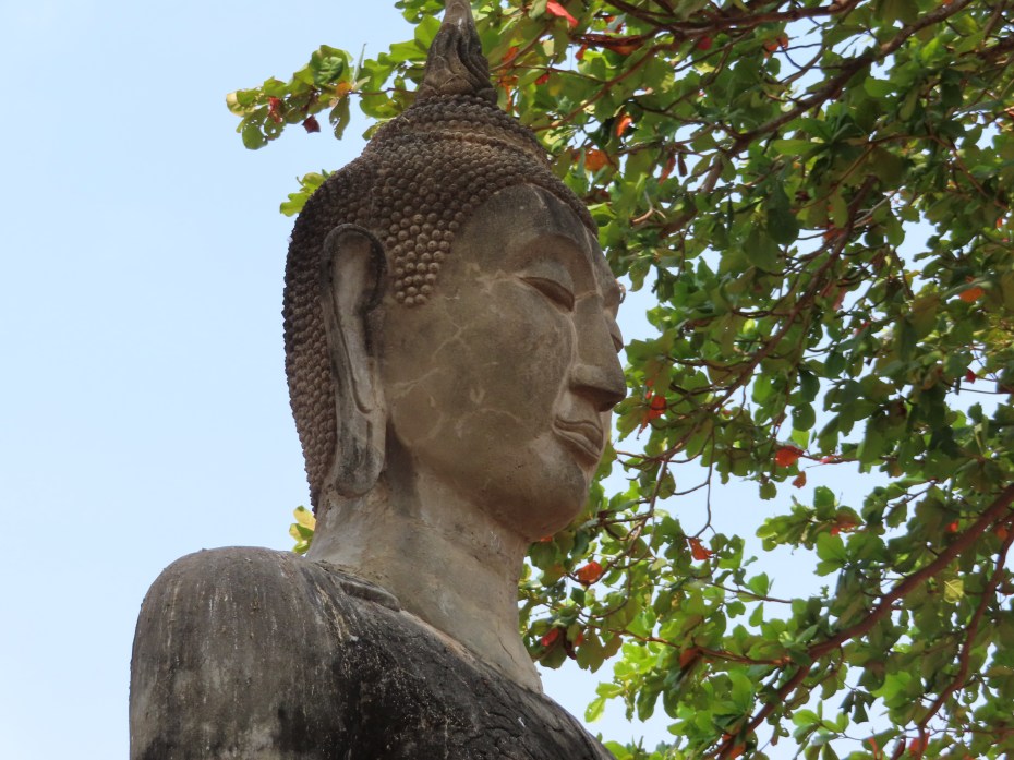 buddha in trees