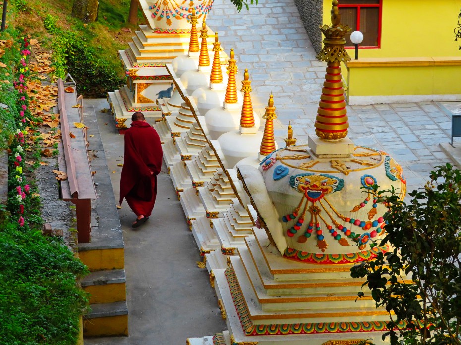 monk &amp; stupas
